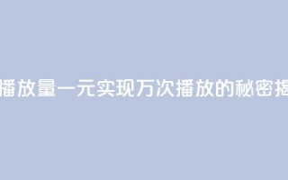 一块钱1万播放量 - 一元实现万次播放的秘密揭秘~