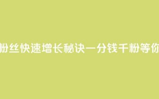 抖音粉丝快速增长秘诀，一分钱千粉等你来抢