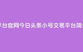 今日头条小号出售平台官网 - 今日头条小号交易平台简介与使用指南~