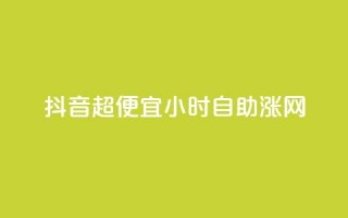 抖音超便宜24小时自助涨网,低价抖音业务网 - 24小时全网最低价 - 0元免费刷ks