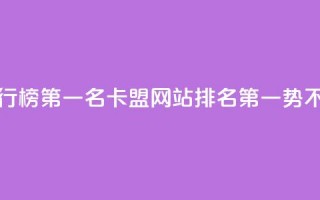 卡盟网站排行榜第一名 - 卡盟网站排名第一，势不可挡！~