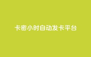 卡密24小时自动发卡平台 - 全天候自动发卡系统一键获取卡密服务。