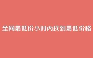 全网最低价：24小时内找到最低价格