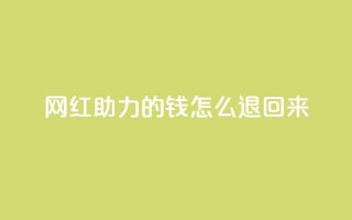 网红助力的钱怎么退回来 - 网红代言退款规则解析。