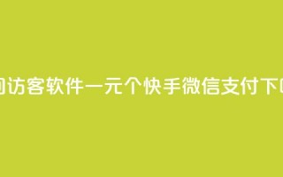 QQ空间访客软件 - 一元10个快手微信支付