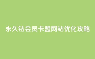 永久钻会员卡盟网站优化攻略