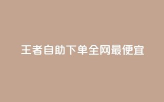 王者自助下单全网最便宜,快手引流软件全自动免费 - 子潇网络平台有哪些 - 10000个赞1毛