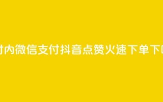 24小时内微信支付，抖音点赞火速下单