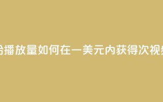 一毛钱给10000播放量(如何在一美元内获得10000次视频播放量)