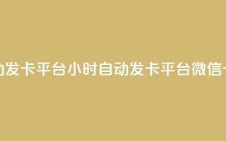 微信卡盟24小时自动发卡平台 - 24小时自动发卡平台—微信卡盟升级版！