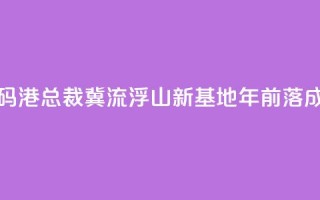 香港数码港总裁：冀流浮山新基地2030年前落成