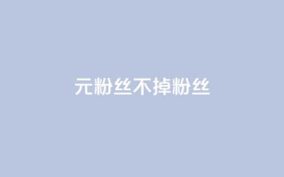 1元3000粉丝不掉粉丝,卡盟dy - 抖音业务全网最低价 - ks超秒双击