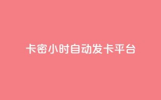 卡密24小时自动发卡平台 - 24小时自动发卡平台优化您的卡密交易体验!