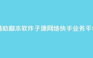 快手点辅助脚本软件 - 子潇网络快手业务平台