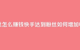 快手1千粉丝怎么赚钱 - 快手达到1000粉丝如何增加收入。