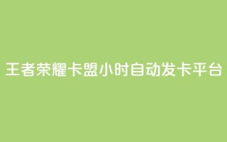 王者荣耀卡盟24小时自动发卡平台 - 王者荣耀自动发卡平台实现24小时无缝服务!