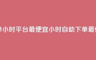 自助下单24小时平台最便宜(24小时自助下单最低价平台)