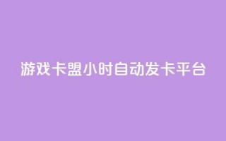 游戏卡盟24小时自动发卡平台 - 24小时自动发卡，游戏卡盟平台全新升级！