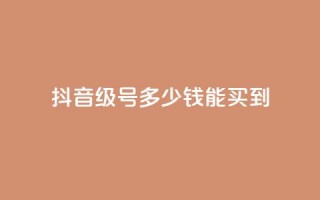 抖音50级号多少钱能买到 - 抖音50级账号价格及购买指南!