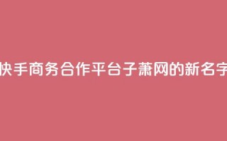 快手商务合作平台子萧网的新名字