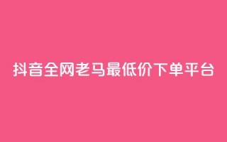 抖音全网老马最低价下单平台,低价货源卡网辅助科技 - ks业务自助下单软件最低价 - 免费公安查询网