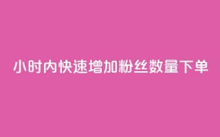 24小时内快速增加粉丝数量下单