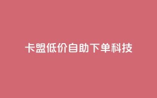 卡盟低价自助下单科技 - 低价自助服务助力卡盟轻松下单!