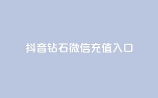 抖音钻石微信充值入口,快手0.5元1000个赞是真的吗 - 快手业务在线下单平台全网最低 - qq卡盟网站官方入口