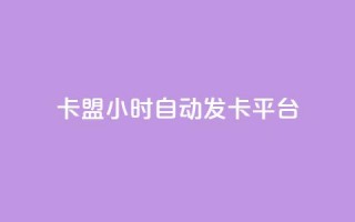 cf卡盟24小时自动发卡平台,24小时下单平台最低价 - 24小时自助下单拼多多 - 拼多多现在开店前景怎样