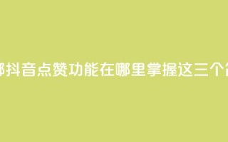 抖音点赞在哪哪 - 抖音点赞功能在哪里？掌握这三个简单步骤！~