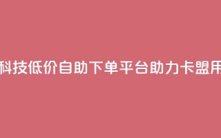 卡盟低价自助下单科技 - 低价自助下单平台助力卡盟用户轻松购买！