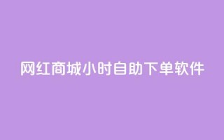 网红商城24小时自助下单软件 - 24小时自助下单软件，让网红商城轻松畅销!