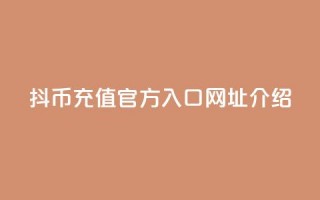 抖币充值官方入口网址介绍