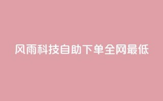 风雨科技自助下单全网最低 - 风雨科技自助下单，价格最低，全网首选!