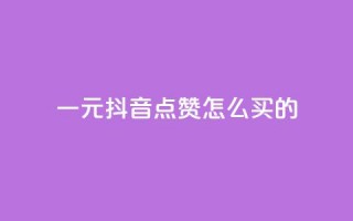 一元抖音点赞怎么买的 - 在抖音如何购买一元点赞的详细指南~