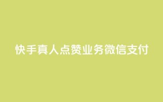 快手真人点赞业务微信支付,ks便宜的下单平台 - qq空间点赞自助 - qq空间访客量购买