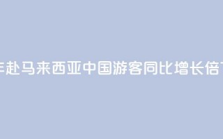 上半年赴马来西亚中国游客同比增长1.9倍