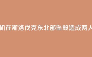 一架小型飞机在斯洛伐克东北部坠毁 造成两人受伤