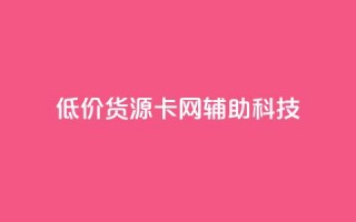 低价货源卡网辅助科技 - 实惠货源卡网络辅助科技全攻略！