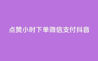 点赞24小时下单微信支付抖音,QQ空间刷浏览记录网站 - 卡盟十大平台排行榜 - 网红助手24小时免费下单