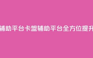 卡盟辅助平台(卡盟辅助平台：全方位提升SEO效果)