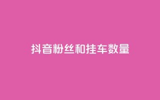 抖音粉丝和挂车数量,qq会员业务网站 - qq空间访客购买 - 快手免费解封