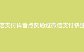 抖音点赞充值微信支付 - 抖音点赞通过微信支付快速充值指南!