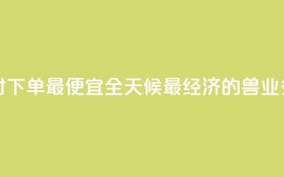 块兽业务平台24小时下单最便宜 - 全天候最经济的兽业务平台下单~