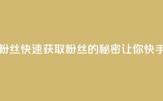 快手如何快速拥有1w粉丝 - 快速获取1w粉丝的秘密，让你快手上名声大噪！!