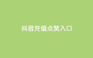 抖音充值点赞入口 - 重写后的标题为：抖音充值点赞入口攻略!