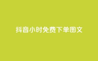 抖音24小时免费下单图文,秒赞助手QQ - 抖音业务24小时在线下单 - 卡盟下单平台在线