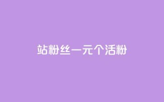 b站粉丝一元1000个活粉 - B站一元可以获得1000个真实活跃粉丝，你绝对不想错过！~