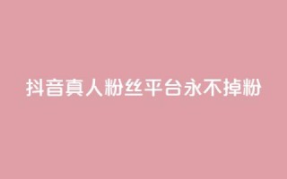 抖音真人粉丝平台 永不掉粉 - 增加社交影响力，稳定粉丝数量营销平台~