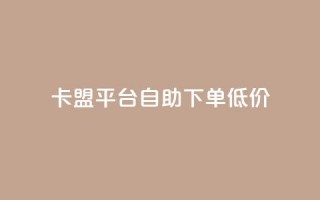 卡盟平台自助下单低价,qq自动回赞软件免费版 - ks业务免费涨赞 - 抖音真人粉丝价格